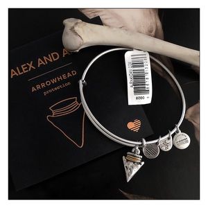 Alex And Ani Silver Arrowhead Charm Bracelet